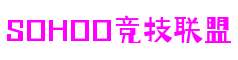 sohoo竞技联盟·(中国区)官方网站